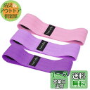 TheFitLife ヒップバンド 美尻 高耐久 トレーニングチューブ ストレッチ 内転筋 レジスタンスバンド トレーニング器具 エクササイズ 肌に優しい 筋トレ 軽量 フィットネス ヒップアップ ?力? 持ち運びやすい (ピンク/ラベンダー/パープル)