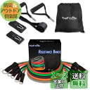 TheFitLife トレーニングチューブ チューブ トレーニング 筋トレチューブ (赤/緑/黒/橙/灰)