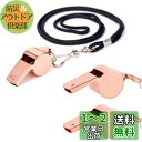 BTtime ホイッスル 3個セット ステンレス製 笛 金属ホイッスル ネックストラップ付き 救援 防災 アウトドア 学校 ジム 審判 ライフガード用 (ローズ...