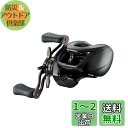 ダイワ(DAIWA) バスベイトリール 24STEEZ(スティーズ) SV TW 100H (2024年モデル)