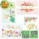 Kesote 感謝カード メッセージカード 60枚セット ありがとう カード Thank you サンキュー カード 卒業 退職 カード 動物 感謝祭 感謝の日 封筒テープ付き