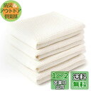 Encasa XO 防臭ワッフル キッチン ディッシュタオル 28