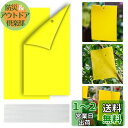 【BEAUTY PLAYER】虫取り 粘着シート 捕虫シート 防虫シート 害虫捕獲粘着紙 植木鉢 畑 昆虫トラップ 虫よけプレート スティッキー 粘着トラップ ...