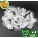 Kingsie 天然 羽根 100枚セット フェザーシャワー 羽シャワー 手芸素材 結婚式 ウエディング 演出 (ホワイト)