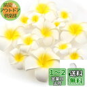 Yesallwas ヘア クリップ ピン プルメリア 造花 9cm 20個セット 花のみ 白 ヘア クリップ ピン プルメリア 髪飾り お花 DIY手作業 結婚...