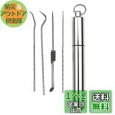 LIKENNY 爪楊枝ケース ポータブル チタン合金 爪楊枝入れ 軽量 携帯 ピルケース キーホルダー 容器 耐湿防圧 小物入れ ボックス アウトドア 野外 山登り チタン 爪楊枝入れ【4本セット】