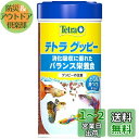 テトラ (Tetra) グッピー 魚 75g