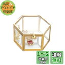 Feyarl ジュエリーボックス ジュエリー入れ リングピロー ジュエリー収納 ガラスボックス 六角形 ゴールド 7.5cm