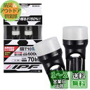 IPF ポジションランプ LED 車用 T10 70lm 6000K ホワイト 12V用 2本入 車検対応 拡散材配合レンズ採用 日本製 104W