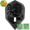エルスタイル エルフライト PRO 大和久 明彦 ver.1 フライト シェイプ クリアブラック シャンパンリング対応