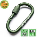 TITECOUGO アウトドア カラビナ おしゃれ 登山 小型 アルミ Dフック 頑丈 ネジロック バンジーコード ブランコ ハンモックテント ?キャンプ 用品...
