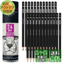 HIFORNY 24本 グラファイトスケッチ鉛筆セット - グラファイト鉛筆 (14B - 5H) スケッチ鉛筆 描画用鉛筆 製図用鉛筆 アート鉛筆 19グレー...