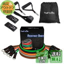 TheFitLife トレーニングチューブ チューブ トレーニング 筋トレチューブ (緑/黒/橙/灰/茶)