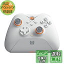 PCコントローラー、 BIGBIG WON Galeワイヤレスコントローラー、モーションエイミング、ホール効果トリガー、4つのカスタムボタン、PCアプリケーション、Switch/PC/iOS/Android用コントローラー、充電スタンド付きワイヤレスゲーミングコントローラー