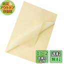 Moigeku 薄葉紙 ラッピングペーパー クリームイエロー 35x50cm お花紙 おはながみ 包装紙 100枚入 手芸用紙 折紙 幼稚園 保育園