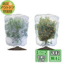 LIANHATA 防虫ネット 2個セット 植物保護カバー メッシュ巾着式 防鳥ネット 虫よけカバー 野菜網 鳥対策 通気性 虫鳥除け網 鉢植え用 野菜栽培 菜園...
