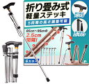 【送料無料】【現役看護師監修】fogman 杖 折りたたみ 軽量 ステッキ 介護 男性 女性 おしゃれ 伸縮 5段階調整 (シルバー)