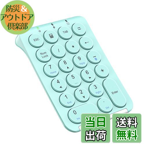 iClever テンキー Bluetooth ワイヤレス 数字 キーボード パンタグラフ式 Type-c充電 超薄型 Tabキー付き ブルートゥース テンキー 無線 ナンバーパッド 左手デバイス 片手デバイス ショートカットキー 高耐久 PC ノートブック用 Windows/iOS/Android など対応 IC-KP08