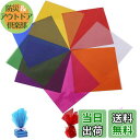 【送料無料】DELUXEFOX カラーセロハン 80枚入り 19*19cm カラーセロファン 子供達の工作 DIY 装飾 梱包 透明紙 セロハン ラッピング 卒...