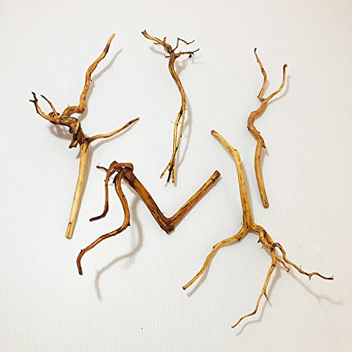 【送料無料】Goldlife 流木 小 Sサイズ 5本セット スマトラウッド インドネシア産 枝流木 アクアリウム..
