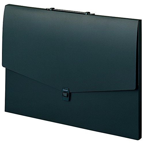 【送料無料】セキセイ アルタートケース フラット