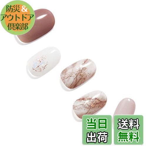 【送料無料】[ダッシングディバ] ネイルシール ジェルネイルシール ジェルネイル ネイル カラージェル つけ爪 シール 手 ハンド グロス 色：Antique Beige