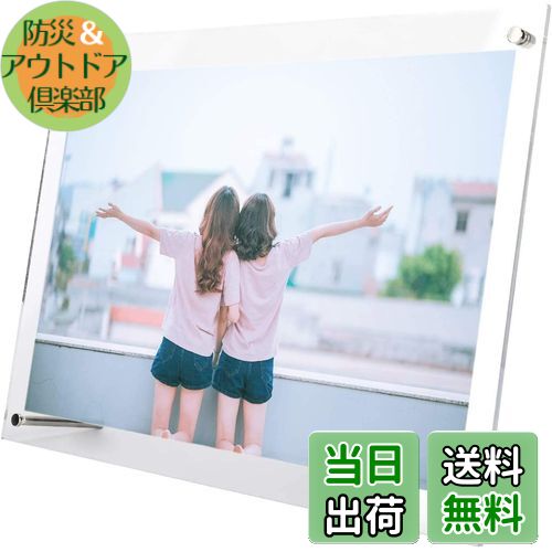 【送料無料】Takelablaze アクリルフォトフレーム 写真立て L判 スタンドタイプ 透明 写真フレーム 卓上展示ピクチャー、ポスター、絵画、賞状 (A4 (210x297mm))