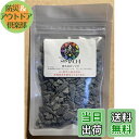 【送料無料】古代ソマチッド 石タイプ100g ソマチッド SOMACHI ソマチ