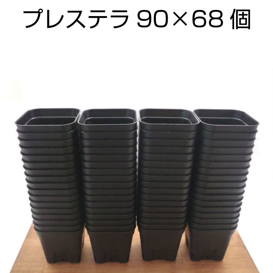 【6月度月間優良ショップ受賞】プレステラ90（68個セット）プラスチック鉢 プランター 2.5号鉢 実生 育苗 多肉植物 サボテン