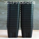 プレステラ105(24個セット)プラスチック鉢 プランター 3号鉢 実生 育苗 多肉植物 サボテン