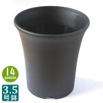 プラ鉢3.5号ミニラン鉢（14個セット）黒ブラックプラスチック鉢ミニ蘭3.5号鉢実生育苗多肉植物サボテンタニサボ
