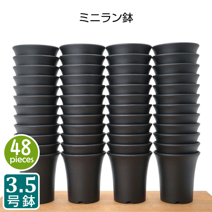植木鉢 おしゃれ ミニラン鉢 3.5号 （48個セット）黒 ブラック プラスチック鉢 プランター 蘭 多肉植物 サボテン タニサボ