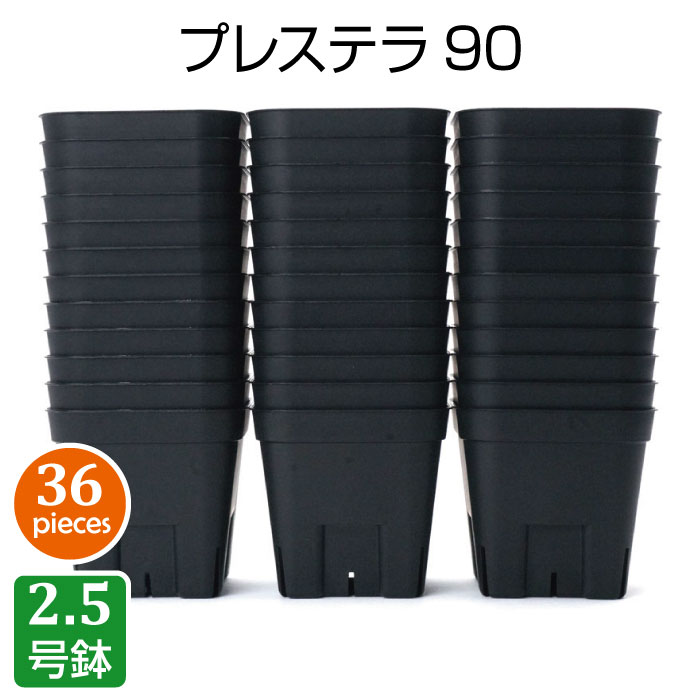 プレステラ90（36個セット）プラスチック鉢 プランター 2.5号鉢 実生 育苗 多肉植物 サボテン 用