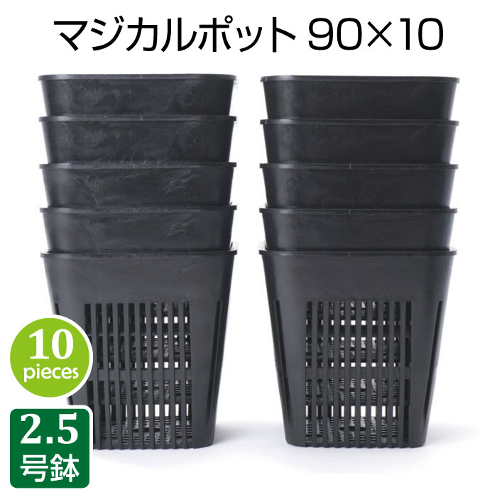 ޥݥå9040ĥåȡ˥֥åץ饹åȭ2.5ȭ¿ʪܥƥɻȭⲹ㲼ɻ̵ȴ˥
