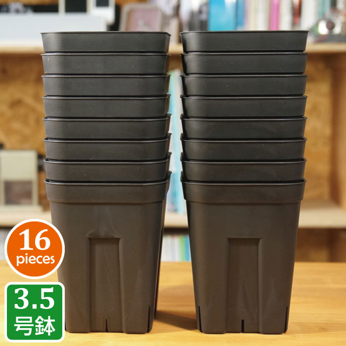 ץ쥹ƥ120ȭ16ĥåȡ˥ץ饹åȭ3.5ȭ¿ʪܥƥ