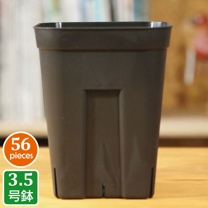 プレステラ120深鉢（56個セット）プラスチック鉢 プランター 3.5号鉢 実生 育苗 多肉植物 サボテン 用