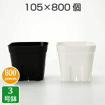 プレステラ105（800個セット）ブラックプラスチック鉢3号鉢実生育苗多肉植物サボテン用