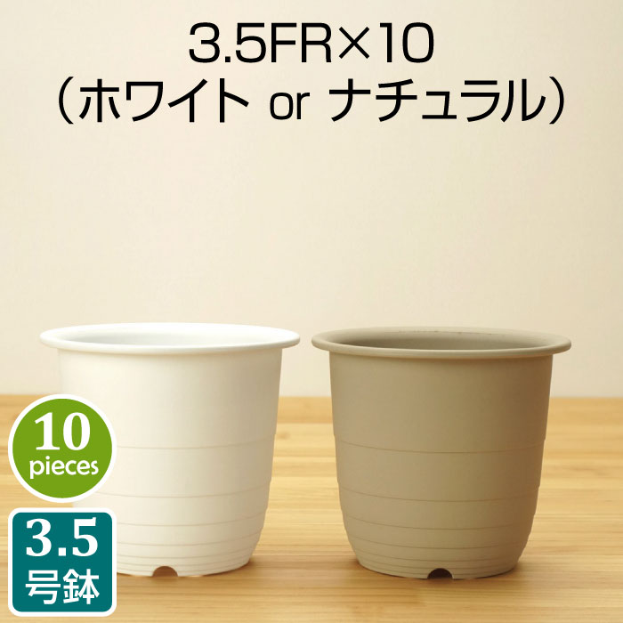 プラ鉢 3.5号 FRN （10個セット）ホワイト、ナチュラル プラスチック鉢 プランター 3.5号鉢 実生 育苗 多肉植物 サボテン タニサボ