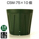 植木鉢 2.5号 CSM-75 (10個セット) 育苗鉢 プラスチック鉢 スリット鉢 プランター 8角形