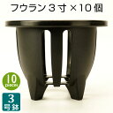 植木鉢 3号 フウラン3寸 (10個セット) 欄鉢 プラスチック鉢 富貴蘭 風蘭 プランター