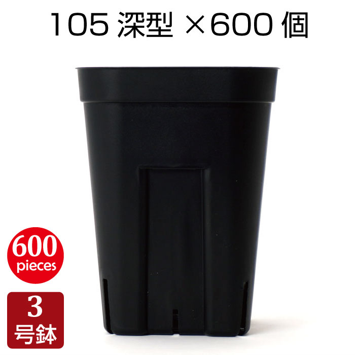 imgrc0090108583.jpg imgrc0090108583.jpg