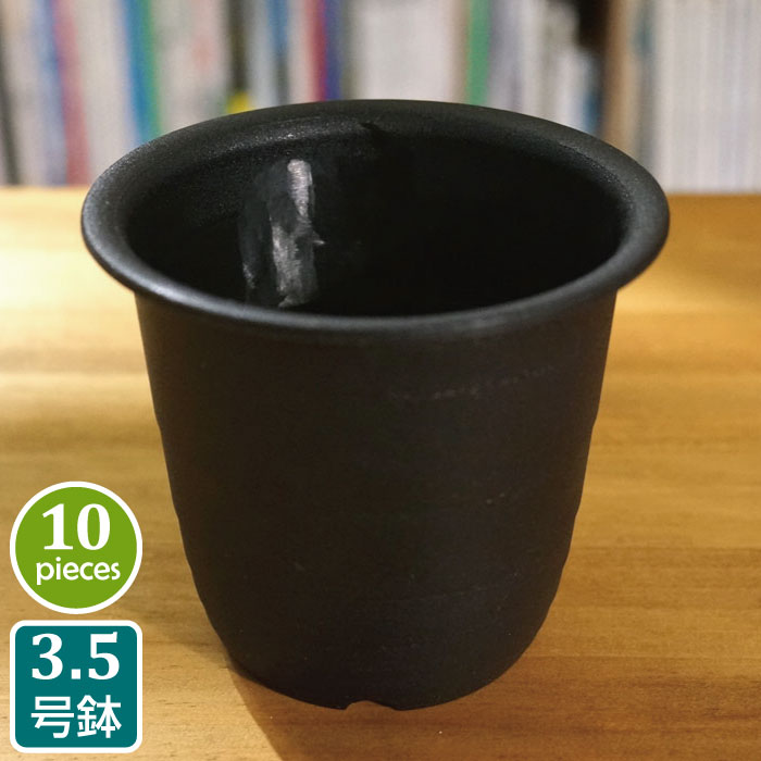 プラ鉢 3.5号 FR （10個セット）黒 ブラック プラスチック鉢 プランター 3.5号鉢 実生 育苗 多肉植物 サボテン タニサボのサムネイル