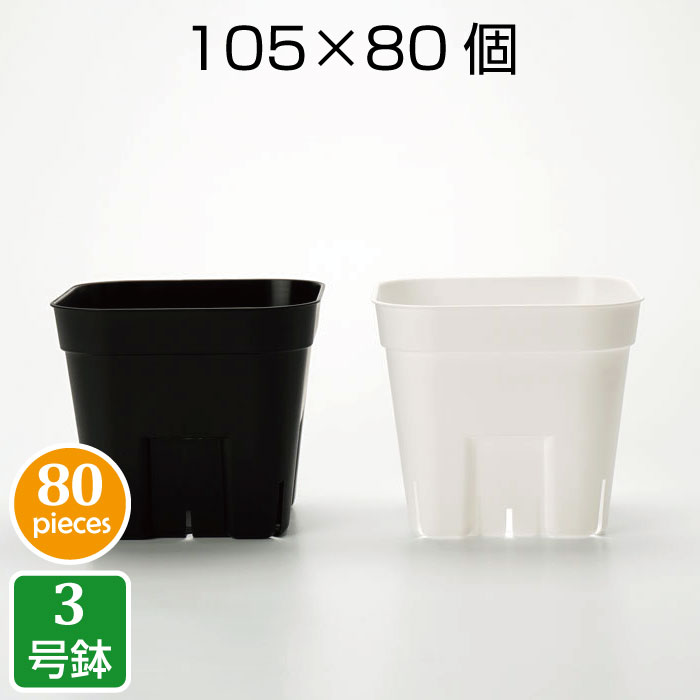 プレステラ105（80個セット）3号 プラ鉢 プラスチック鉢 プランター ポット 鉢 実生 育苗 多肉植物 サボテン 用