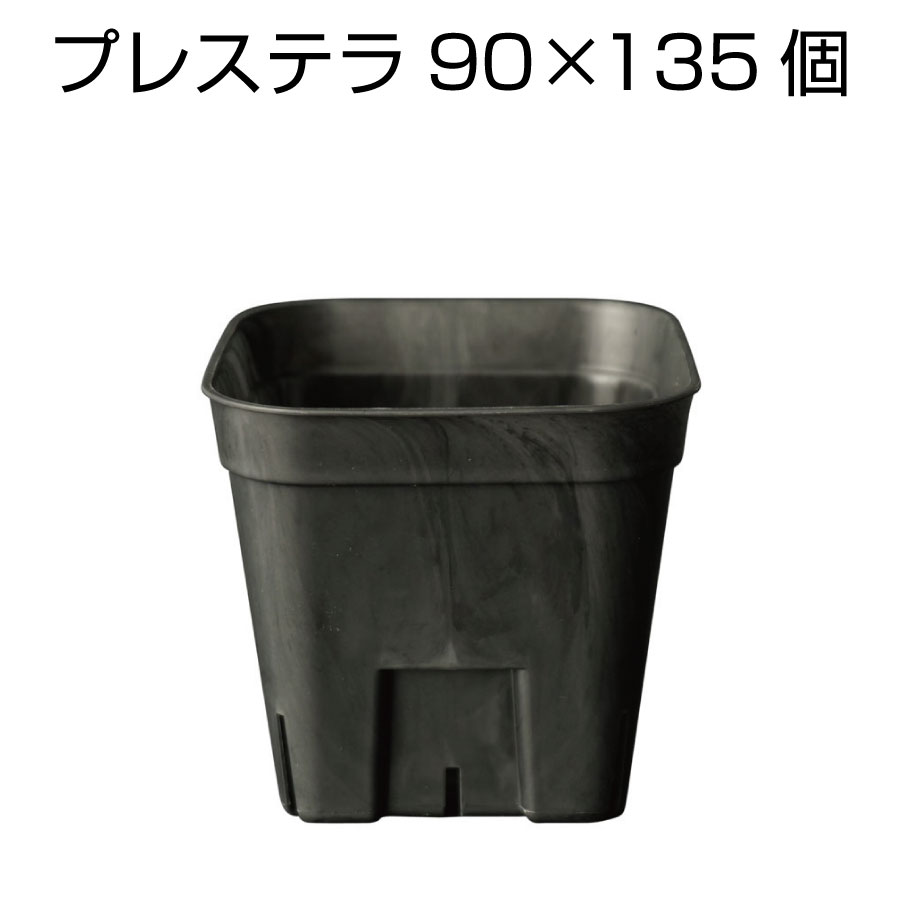 プレステラ90（135個セット） 2.5号 プラ鉢 プラスチック鉢 プランター 実生 育苗 多肉植物 サボテン 用