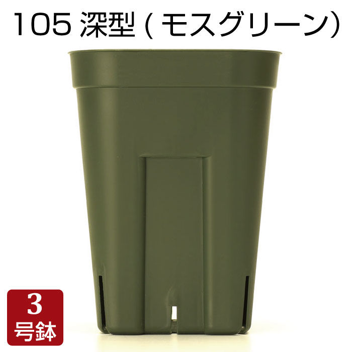 ץ쥹ƥ105ȭʥ⥹꡼