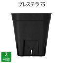 プレステラ75(2号鉢)プラスチック鉢 プランター 2号鉢 実生 育苗 多肉植物 サボテン 用