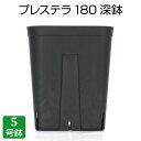プレステラ180深鉢(5号鉢)プラスチック鉢 プランター 5号鉢 実生 育苗 多肉植物 サボテン 用