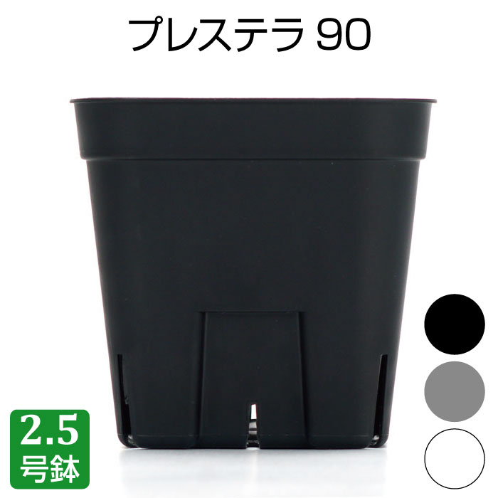 プレステラ90（2.5号鉢）プラスチック鉢 プランター 2.5号鉢 実生 育苗 多肉植物 サボテン 用