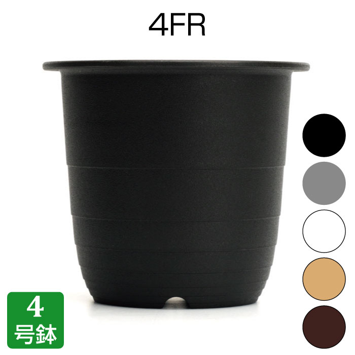 4FRۥץȭFR꡼ץ饹åȭץ󥿡4ȭ¿ʪܥƥ󥿥˥