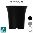 ミニラン鉢 3号 Φ90mm プラスチック鉢 プランター ポット 蘭 3号鉢 実生 育苗 多肉植物 サボテン タニサボ